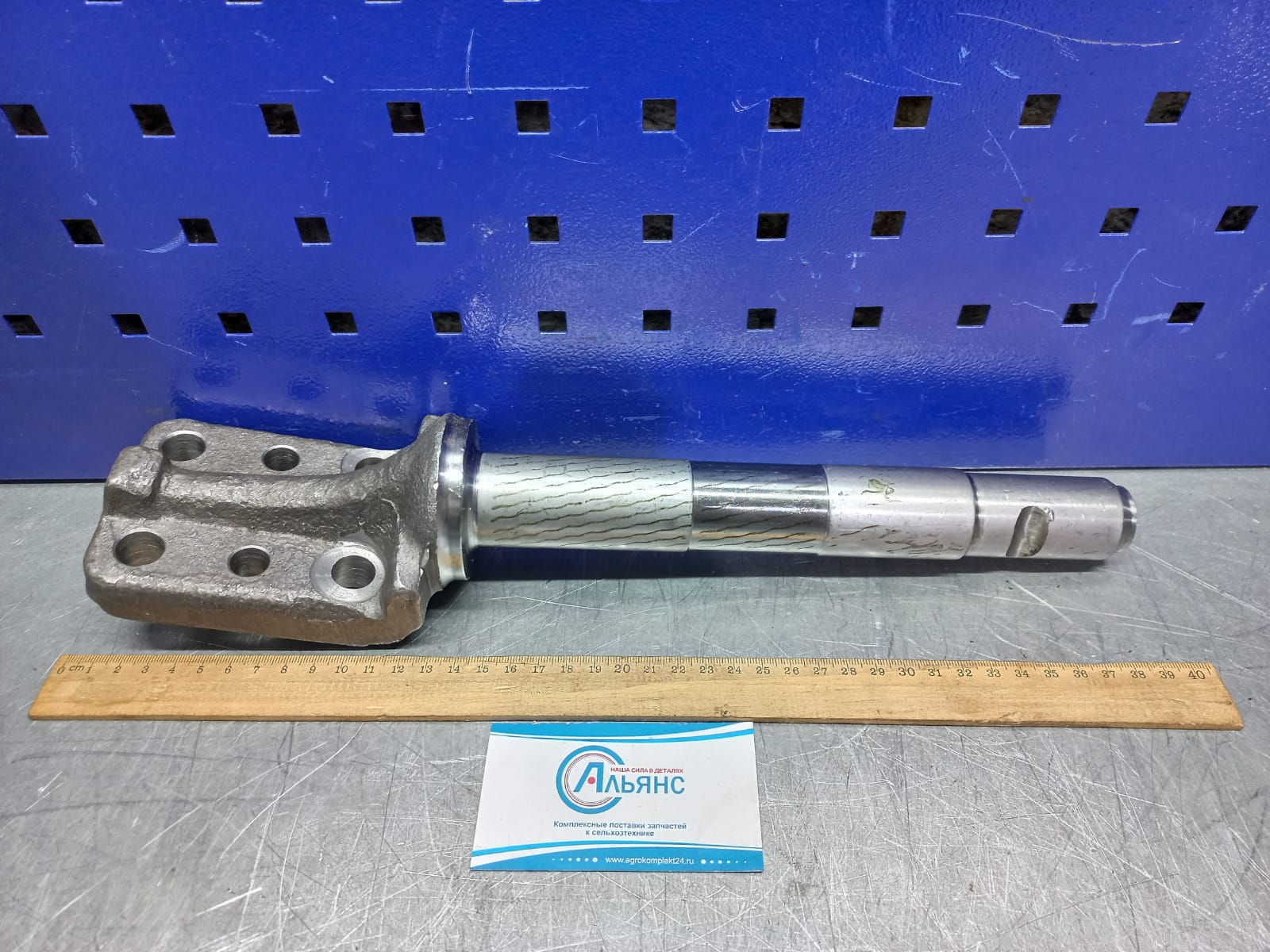 WhatsApp Image 2022-04-26 at 10.25.57