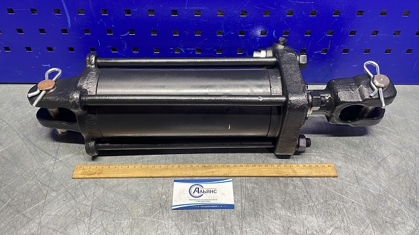 WhatsApp Image 2023-06-14 at 12.54.00