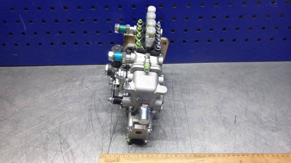 WhatsApp Image 2023-07-26 at 09.44.41