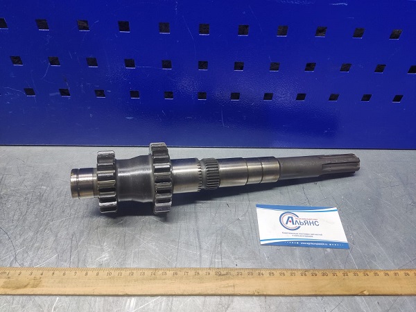 WhatsApp Image 2023-03-20 at 11.16.30 (2)