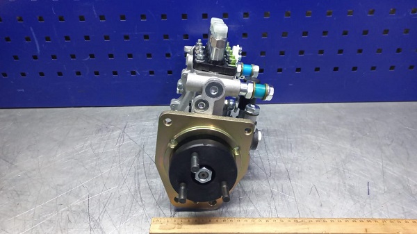 WhatsApp Image 2023-07-26 at 09.44.12