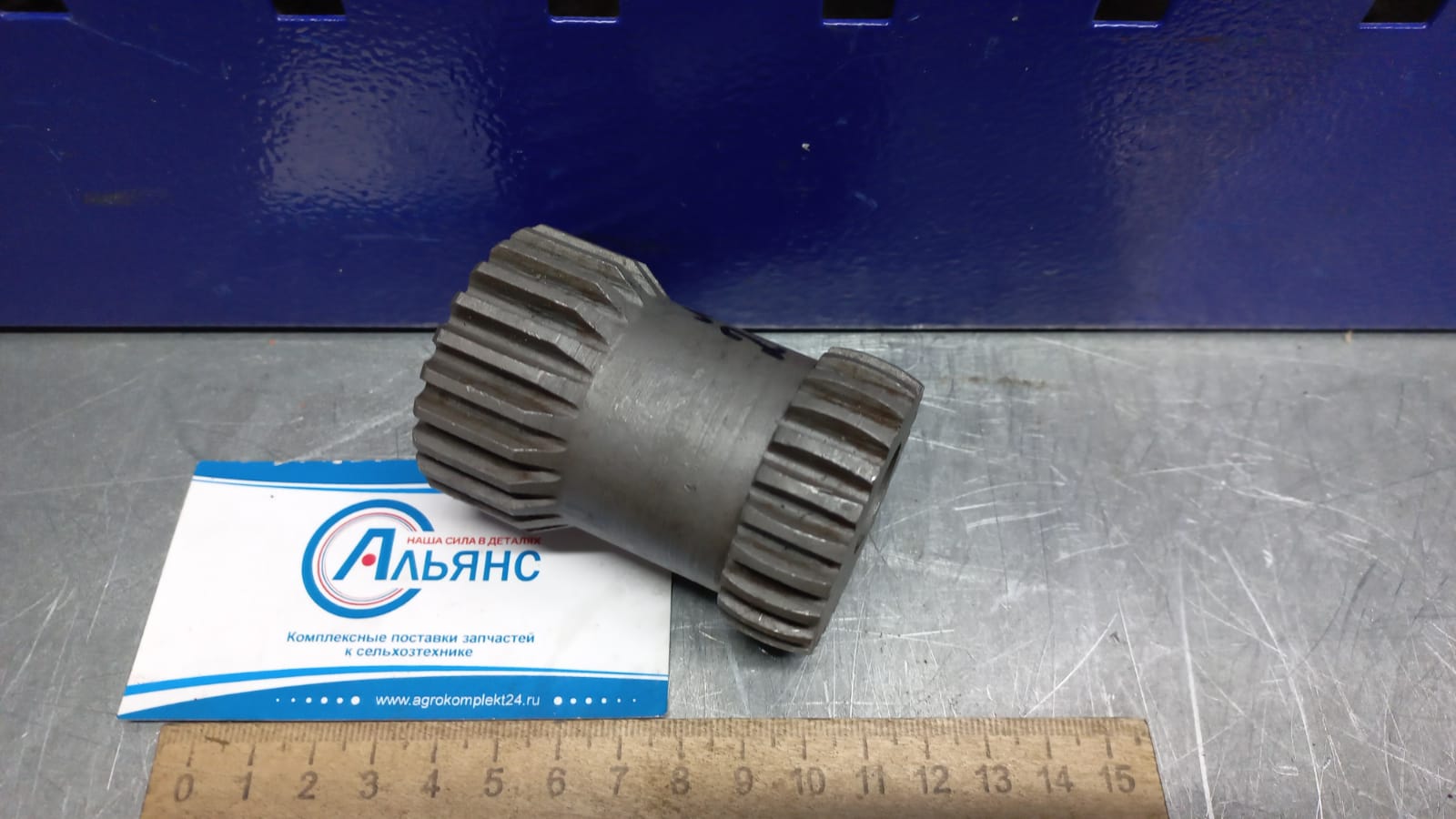 WhatsApp Image 2022-04-19 at 11.29.40