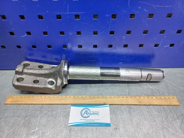 WhatsApp Image 2022-04-26 at 10.25.57