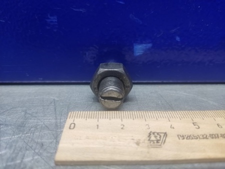 WhatsApp Image 2023-10-26 at 11.07.41