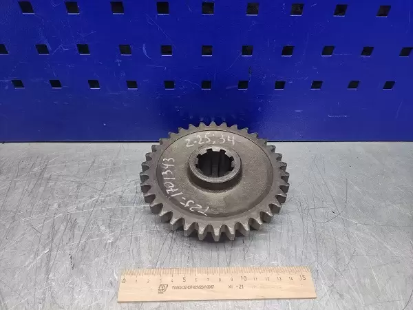 WhatsApp Image 2023-08-25 at 10.03.17