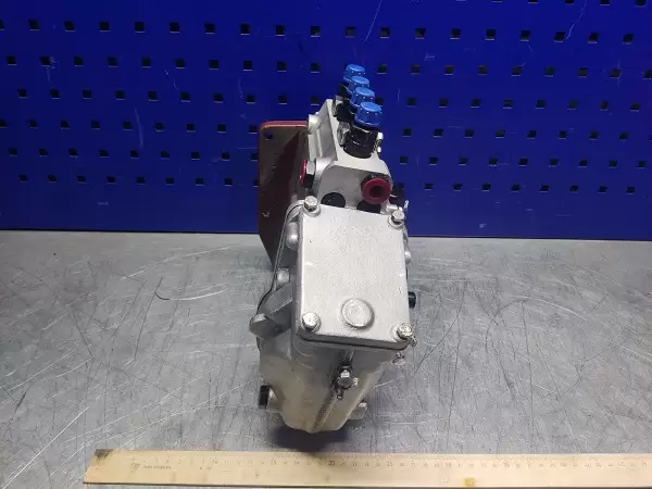 WhatsApp Image 2023-10-06 at 10.18.25