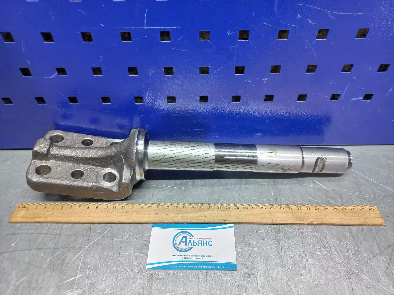 WhatsApp Image 2022-04-26 at 10.25.57