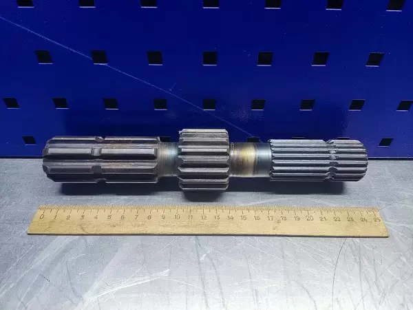 Изображение WhatsApp 2024-04-10 в 12.38.27_4103a0e1