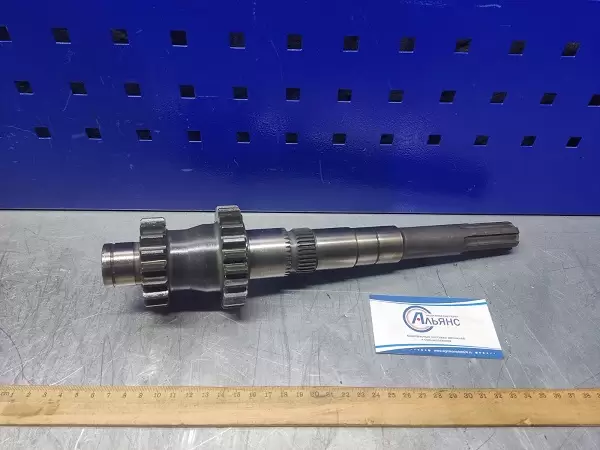 WhatsApp Image 2023-03-20 at 11.16.30 (2)